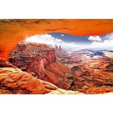 48x24 in Terrarium Backdrop Desert Canyon Stone Reptile Habitat Background