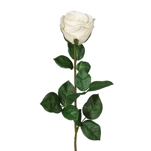 Kunstblume Gartenrose, 6Er Set, Farbe Weiß, HöHe Ca. 69 Cm-image