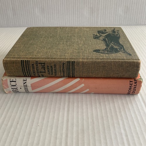 Bruce and Lad Further Adventures Dog Book Lot Albert Payson Terhune Vintage HC - Picture 8 of 19
