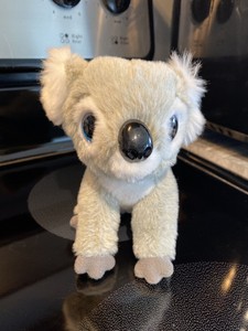 kookoo koala beanie boo