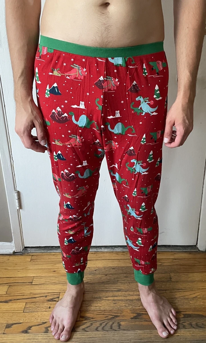 Wondershop at Target Red Green Dinosaur PJ s Christmas Pajama