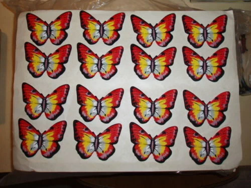 Figurine Mio Locatelli da collezione