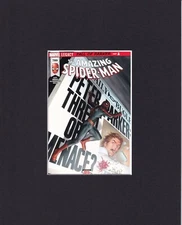 8X10" Matted Art Print Marvel Comic Book Cover: The Amazing Spider-Man #789