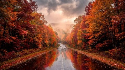 Aesthetic Autumn Road Reflection 4K Wallpaper | Cinematic Desktop Background Dig