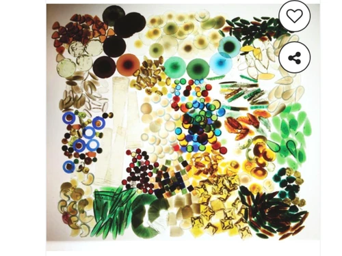 Rare Collection  of Tiffany Studio Glass Jewels and Fragment