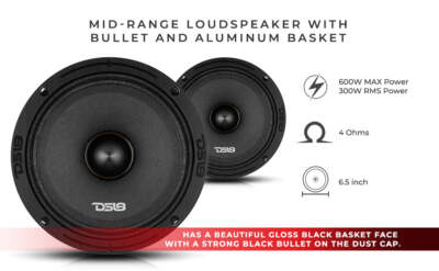 DS18 PRO-ZXI6.4BM 6.5