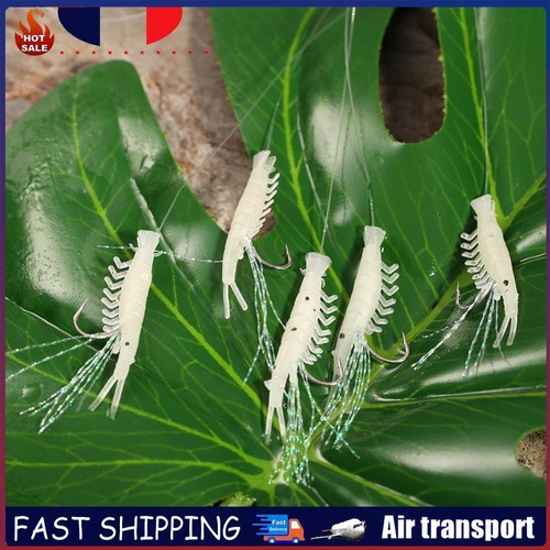 24 Pièces Cages à Appâts Pour Pêche à La Carpe, Perles Lumineuses Flottantes, Piège à Appâts En Acier Carbone