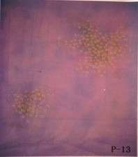 JP 10 x 20 ft SCENIC MUSLIN BACKDROP / BACKGROUND P-13