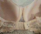 Picture 8 of 12