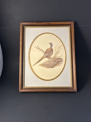 Vintage Framed Print Of Ring Necked Pheasant By E.D. Williams