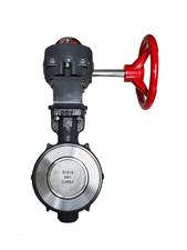 5" Double Eccentric Butterfly Valve (Gear Type, Ductile Body / RTFE Seat)