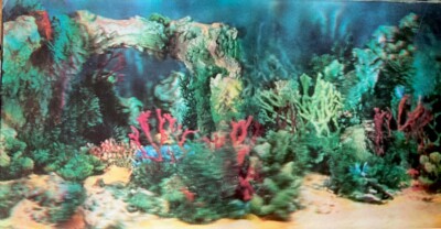 LENTOGRAPH BY VICTOR ANDERSON 3D LENTICULAR UNDERSEA GARDEN 20''X10.5'' PLATE #352
