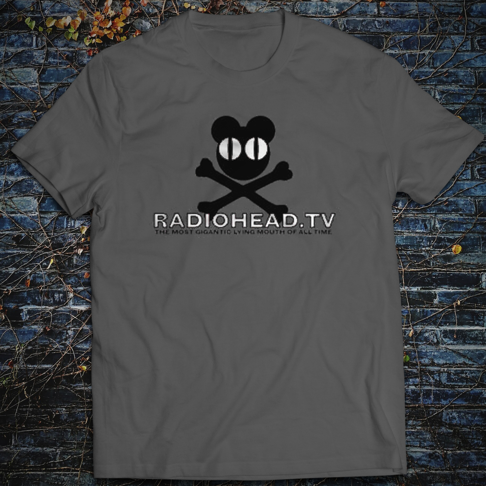 Radiohead T-Shirt The Bends OK Computer The Bends Kid A Pablo Honey