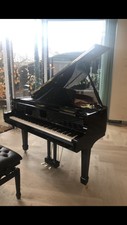 Waldstein Prodigy Baby Grand Piano - Latest Bluetooth Self Play Pianodisc