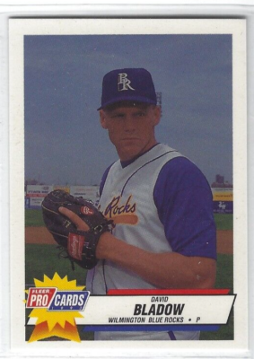The bluesonics sailing レア盤 1993 Wilmington Blue Rocks (Class A-Kansas City Royals) David