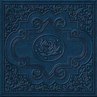 Ryan Adams & The Cardinals - Cold Roses CD (2005) Audioqualität garantiert