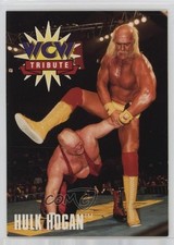 1995 CARDZ WCW Main Event Tribute Hulk Hogan #83 14tz