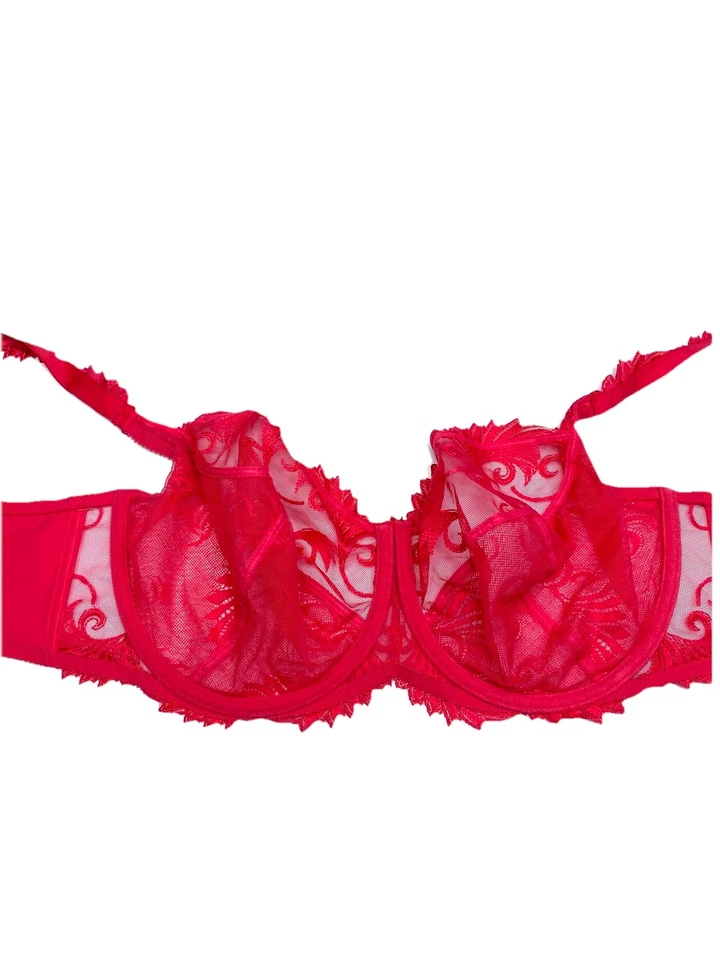 Sujetador sin costuras de encaje floral transparente con aros rojo EMPREINTE talla 40E Foto 2 de 4