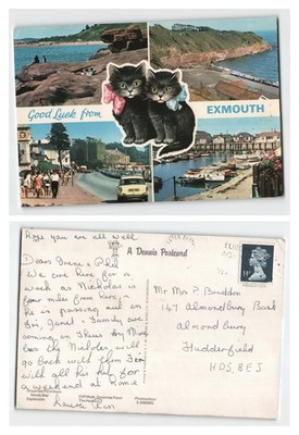 Postkarte - Exmouth Multi-View Küstenszenen Viel Glück Katzen VERSCHICKT