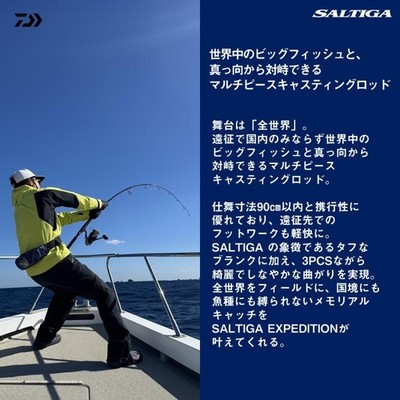 Daiwa 25 Saltiga C Expedition 82-8 Daiwa Casting Rod, 3-Piece | eBay