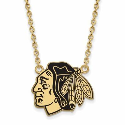 SS GP NHL Chicago Blackhawks großer emaillierter Anhänger 18 Zoll Halskette