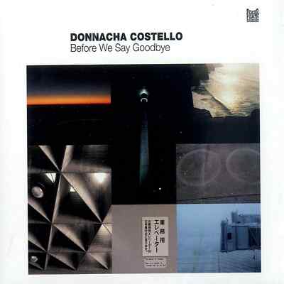 Donnacha Costello / BEFORE WE SAY GOODBYE (CD) / Pokerflat / PFRCD25 / CD