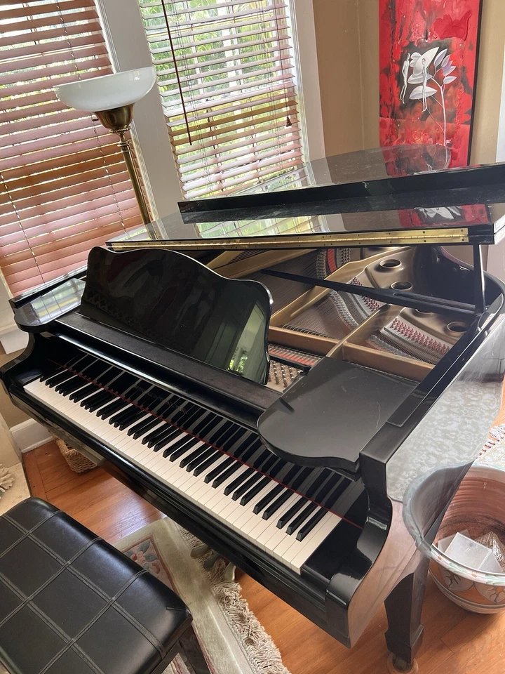 piano de cola Foto 3 de 4