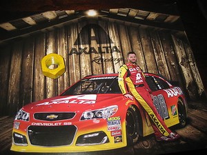 Dale EARNHARDT JR:  NASCAR Race Used LUGNUT;2016 New  Promo PICTURE; Racing STAR