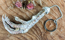 Real Chicken Foot Key Chain talisman voodoo pirate Taxidermy gift costume prop
