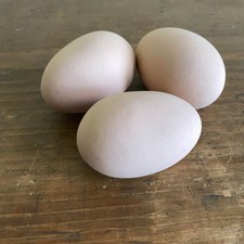 Ceramic Brown Nest Eggs Hens Chickens Stop Pecking Breaking Clean Decor