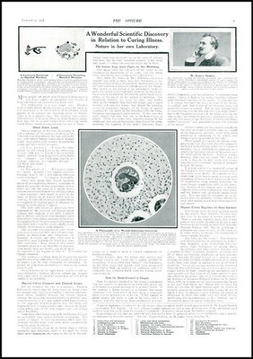 1910 WISSENSCHAFT Eugen Sandow Mikrobe zerstört Leukozyten heilen Krankheit (78)