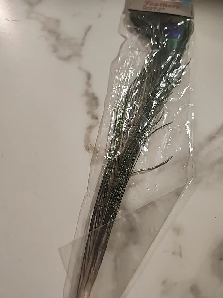 Peacock Eye Feathers 2/Pkg Mangelsen's New Old Stock 563-28 - Image 4 of 4