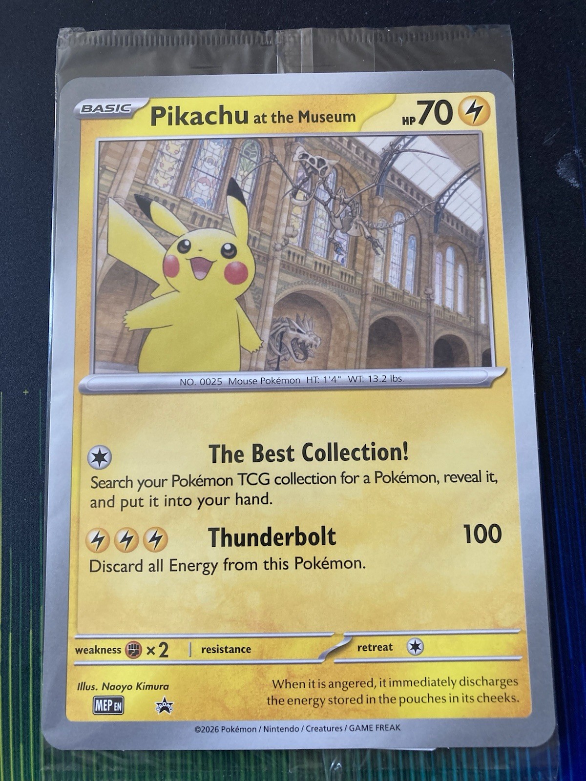 Pokémon TCG Pikachu At The Museum Black Star Promo Jumbo Card Sealed