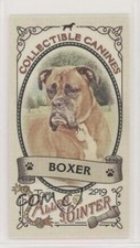 2019 Topps Allen & Ginter Collectable Canines Minis Boxer #CC-2 0v7