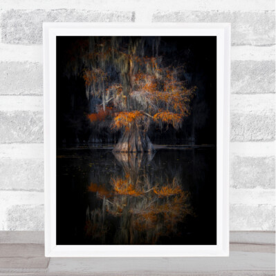 Cypress Reflection Caddo Texas Dark Autumn Fall Tree Wall Art Print