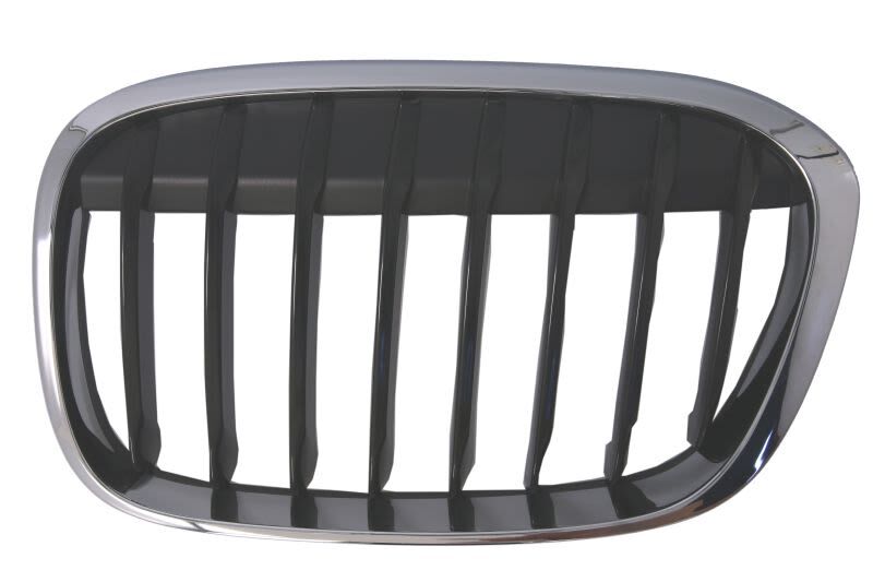 Radiator grille left fits: BMW X1 F48 09.15-07.19