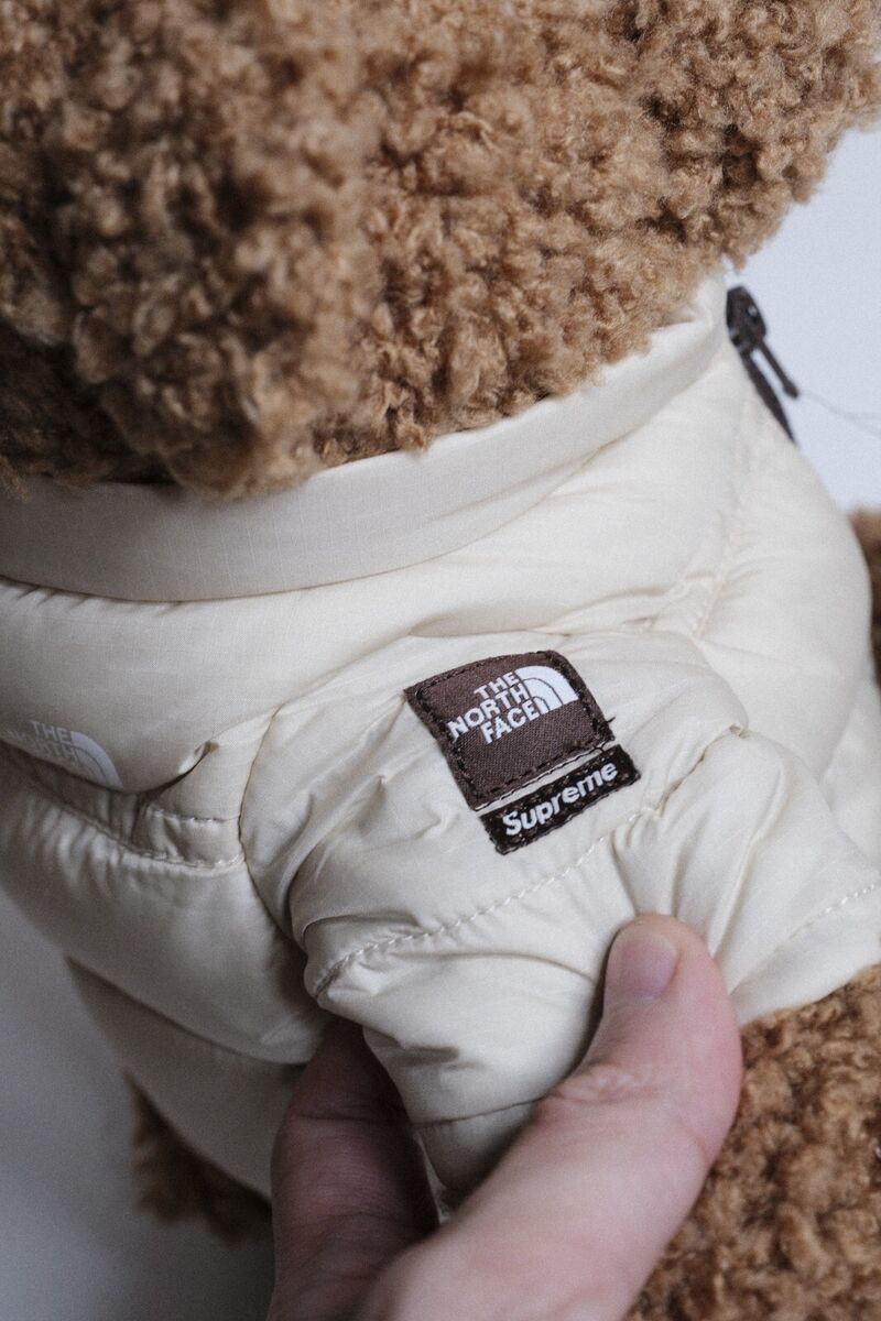 Supreme The North Face Bear Nuptse Split Jacket SS24 Supreme The North Face Bear Nuptse Split Jacket SS24