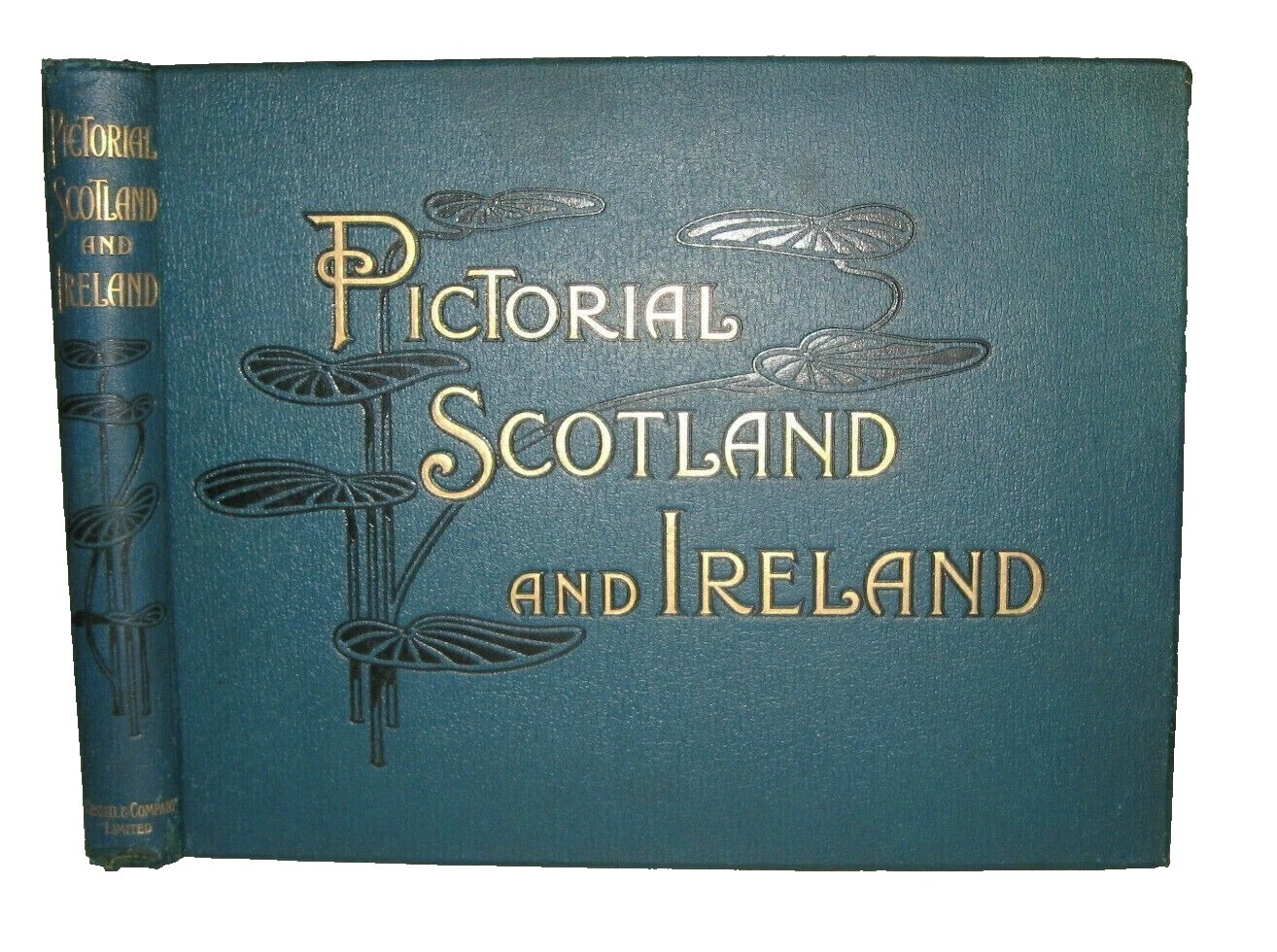 First Edition Fine Binding Antiquarian & Collectible Books in Irish