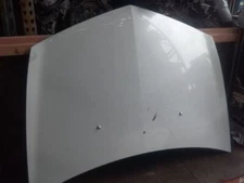 Hood Fits 10-13 ZDX 494792