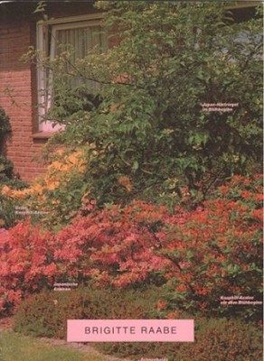 Brigitte Raabe : 1. Mai - 6. Juni 1993, Kunstverein Hannover. [. vom Kunstverein