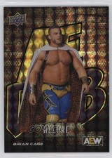 2024 Upper Deck Allure AEW AE Dub Purple Diamond 9/10 Brian Cage #DUB-19 0s8t