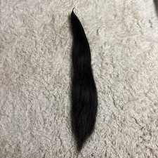Black Horseback Riding Tail Extension