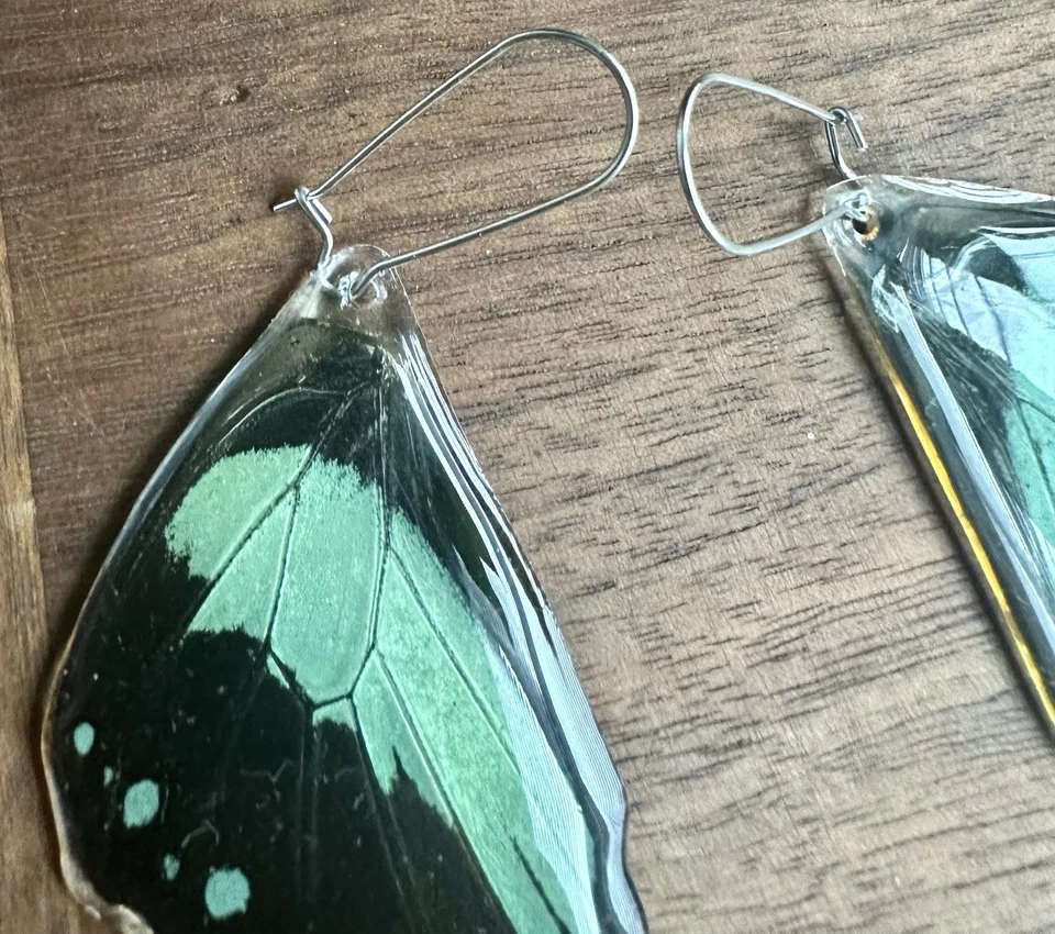 Brincos de asa de borboleta artesanais asas de borboleta reais joia presente - Imagem 3 de 4