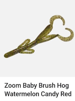 ZOOM Super Salt Plus 6'' Baby Brush Hog Water Candy Red 042-281