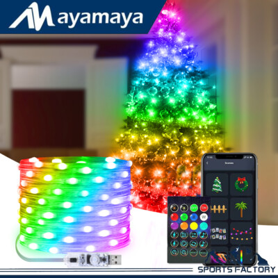 LED String Copper Wire RGB Fairy Lights Remote Smart App USB Control Xmas Decor