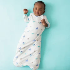 Kyte Baby Bamboo 1.0 TOG Sleep Bag Wearable Blanket Double Zip Dragon Medium