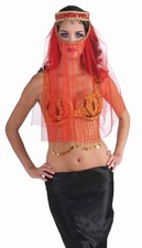 Red Harem Headpiece Costume Accessory