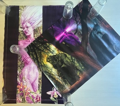 Vintage 1990s BLACK ORCHID DC Comics 34'' x 22'' Posters NEW w/Swamp Thing, Batman