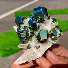 133G Natural colorful chalcopyrite clear Cluster coexisting crystal mineral