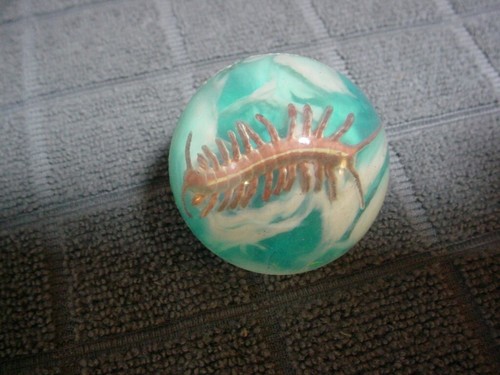 RARE SUPERBALL SUPER BALL WITH CENTIPEDE INSECT INSIDE